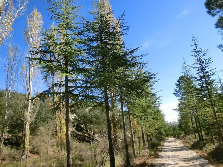Alojamiento Central Caravaca Καραβάκα ντε λα Κρουθ Εξωτερικό φωτογραφία